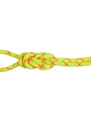 Mammut 9.5 Alpine Core Protect Dry Rope Ihned K Objednání