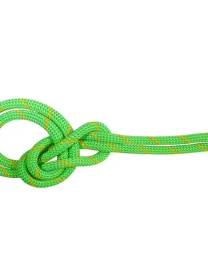 Časově Omezené Mammut 9.5 Crag Eco Dry Rope