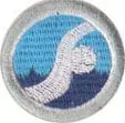 Pouze Dnes odborka vodní sportovec 1.st.