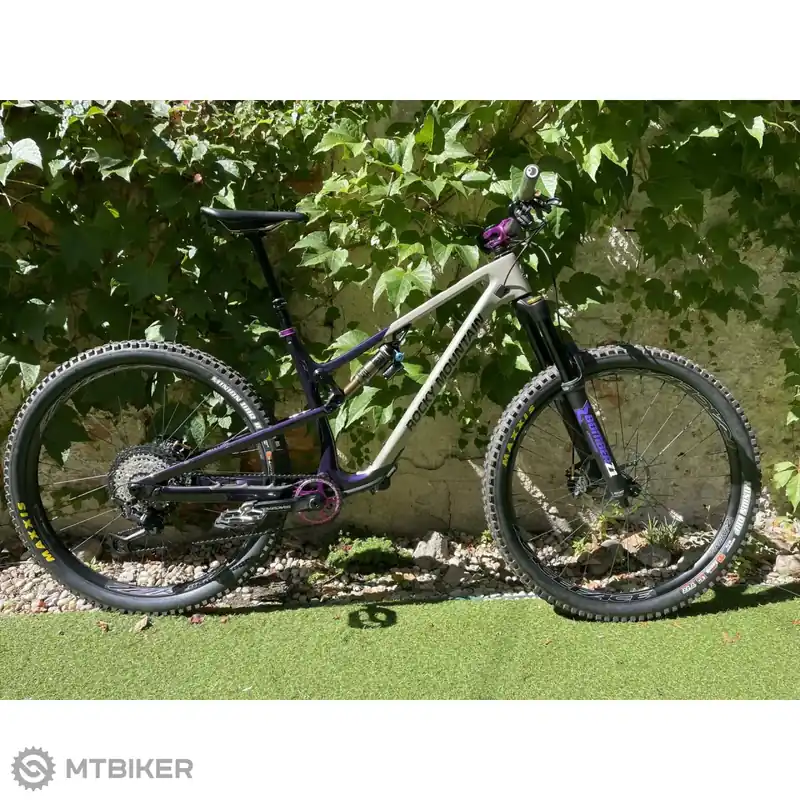 Must-Have Rocky Mountain INSTINCT C2 29 kolo, šedá/fialová