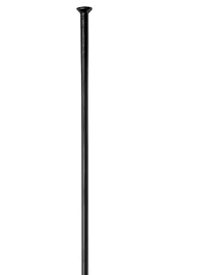 DT Swiss DT champion® Straightpull špice, 2 mm Pouze Dnes
