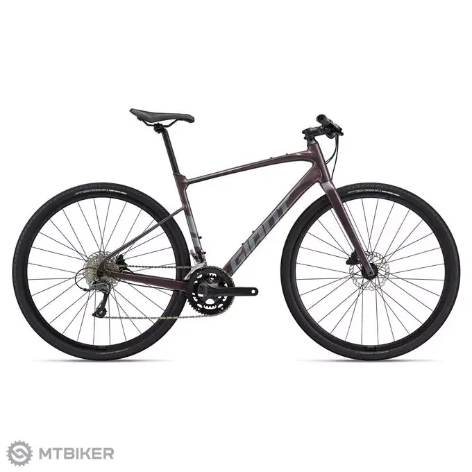 Objednat Nyní Giant FastRoad AR 3 28 kolo, charcoal plum