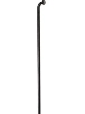 DT Swiss Champion špic, 2.34 mm, černá Top Prodej