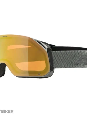 ALPINA BLACKCOMB Q-LITE brýle, moongrey/matt gold Hit Sezóny