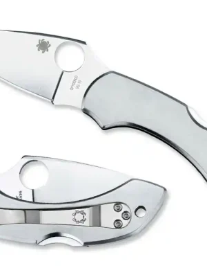 Spyderco Dragonfly nerezový kapesní nůž 5,7 cm, celoocelový Ověřený