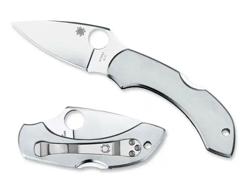 Spyderco Dragonfly nerezový kapesní nůž 5,7 cm, celoocelový Ověřený