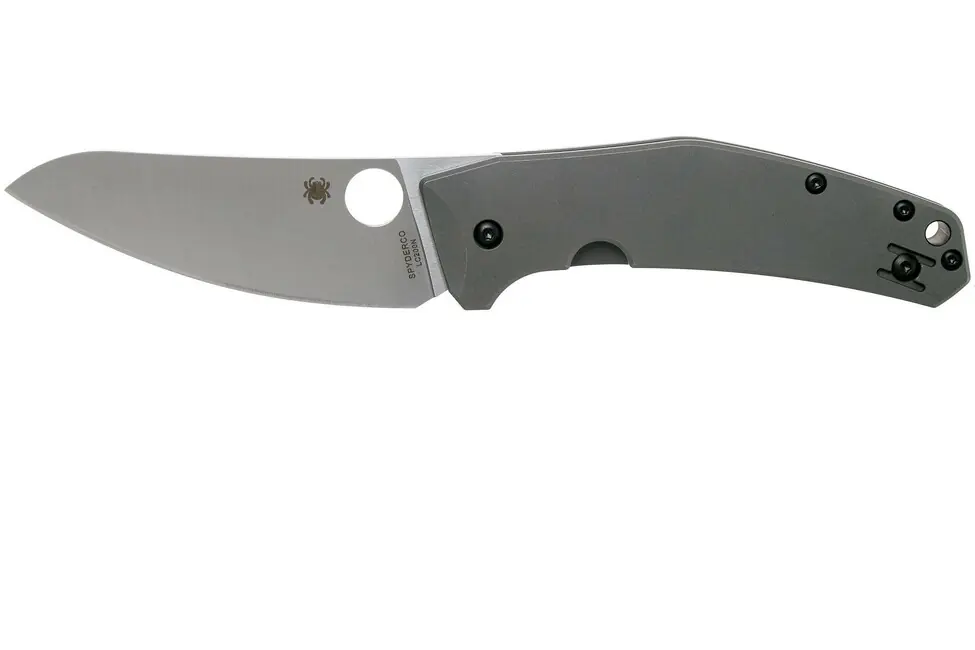 Akční Cena Univerzální kapesní nůž Spyderco Spydiechef 8,4 cm, titanová barva, FRN