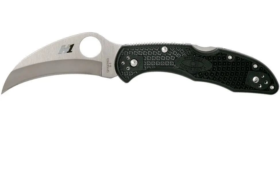 Oblíbený Spyderco Tasman Salt 2 rybářský nůž 7,4 cm, černý, FRN