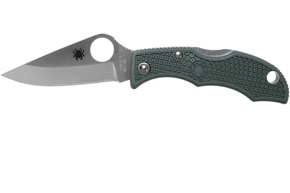 Spyderco Ladybug 3 Lightweight Foliage Green malý kapesní nůž 4,9 cm, zelenošedý, FRN Nakupujte Hned