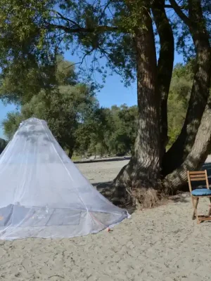 Cenový Hit Brettschneider Holiday Renets Moskytiéra Velký zvonek