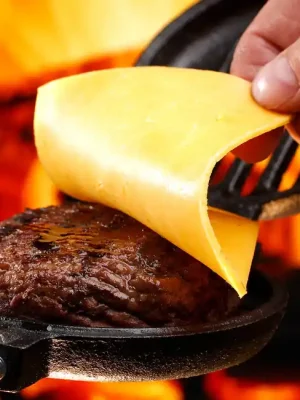 Coghlans Gril pro Burger Iron single Oblíbený