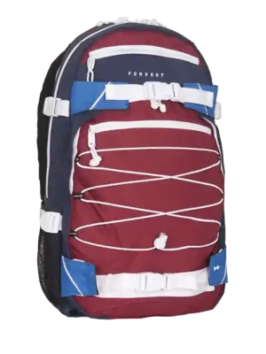 Časově Omezené Batoh Forvert Ice Louis 20L, vícebarevný IV