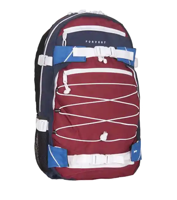 Časově Omezené Batoh Forvert Ice Louis 20L, vícebarevný IV