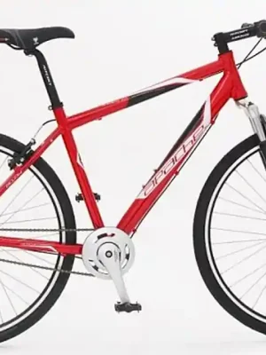 Must-Have Trekingové kolo Apache Eagle red