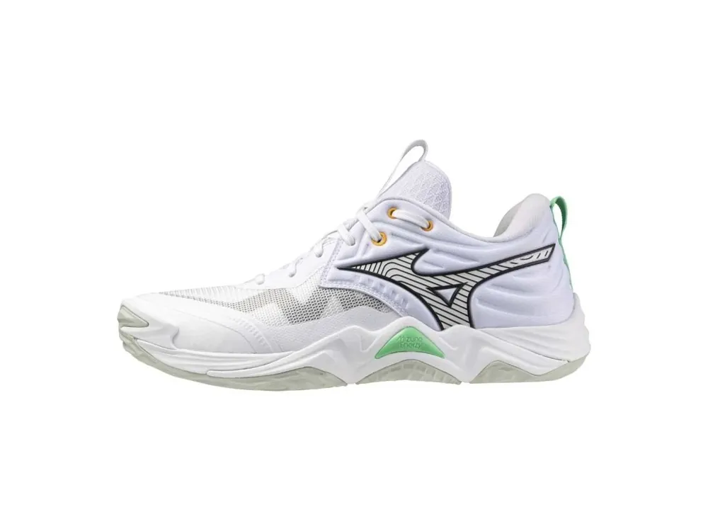 Nízká Cena Boty Mizuno Wave Momentum Elite V1GA251221
