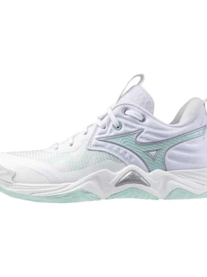Novinka Boty Mizuno Wave Momentum Elite V1GC251245